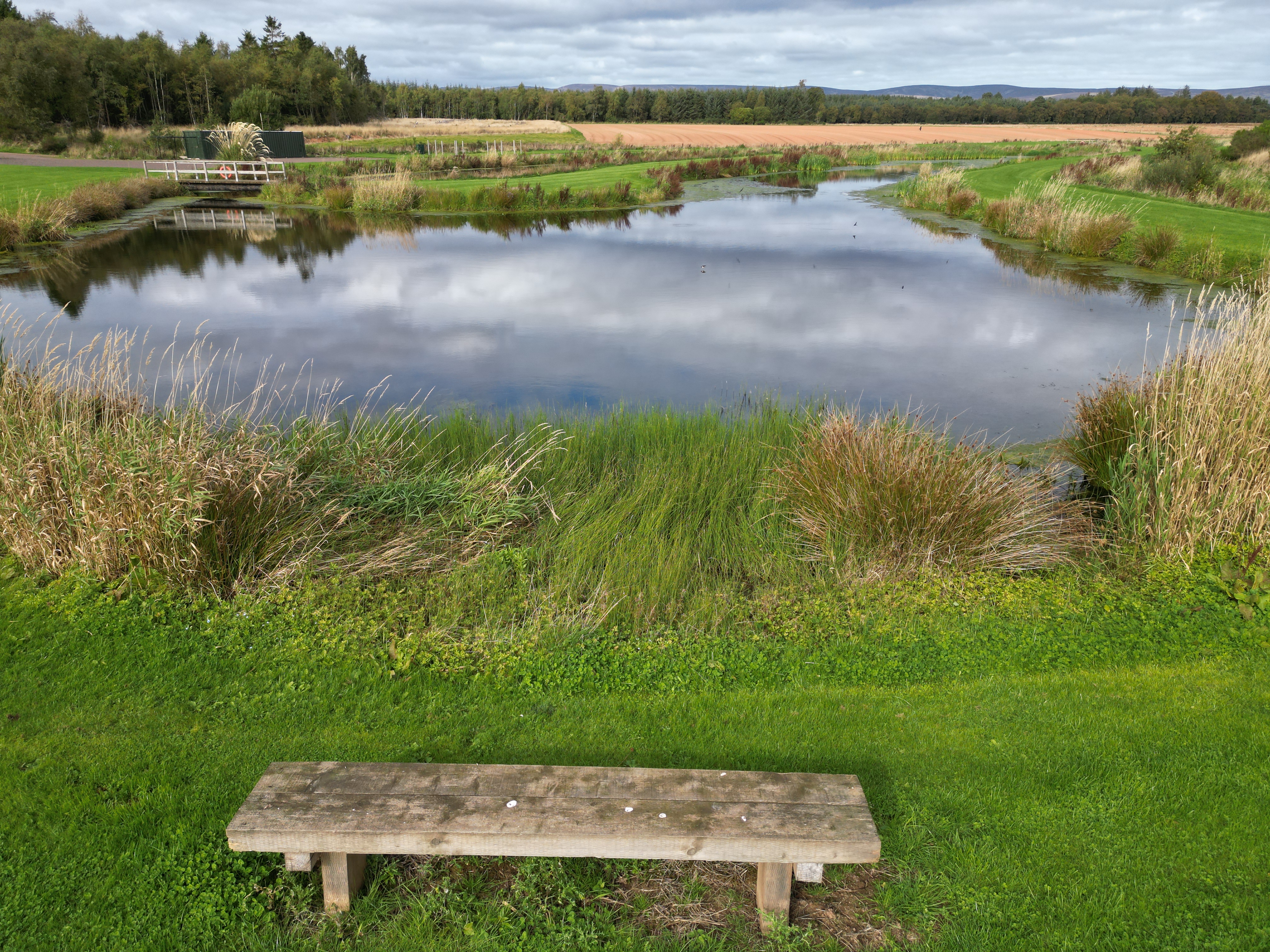 Bench Looks Out Over River