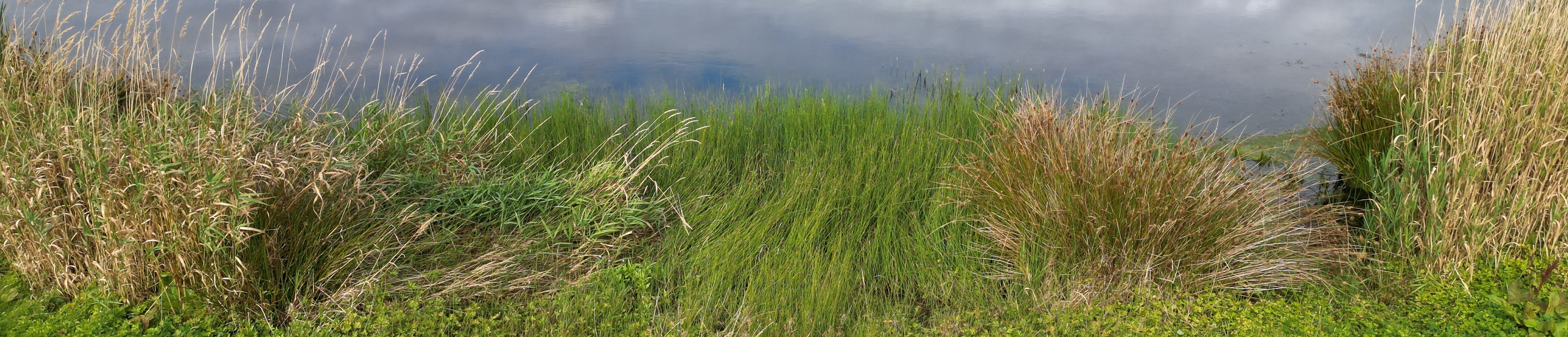 Luxury lodges with hot tubs in Aberdeenshire